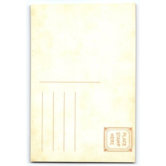 Vintage Halloween Photochrome Postcard Pumpkin Head Couple 5.5x4" - Picture 2 of 2